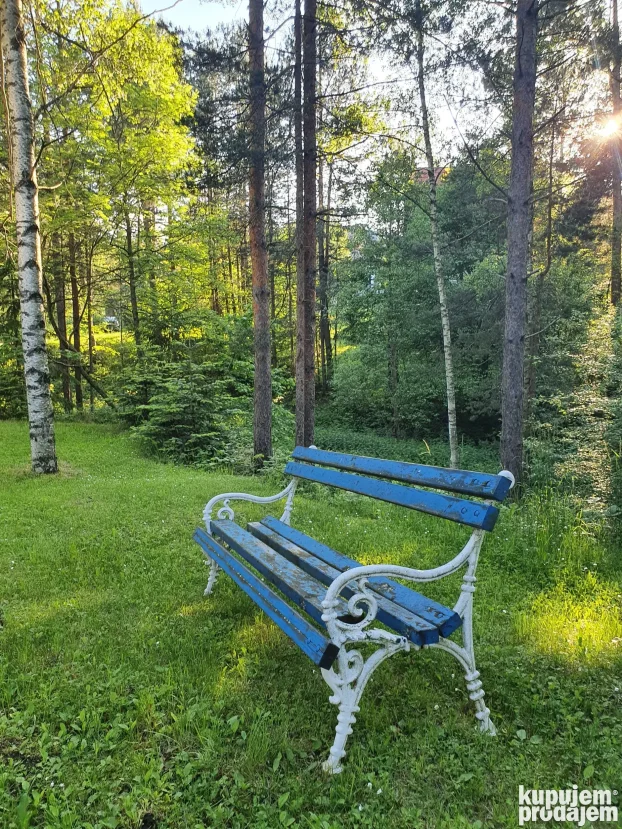 Купина